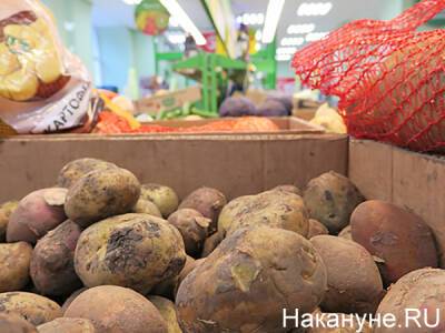 Цена на картофель в России вырастет из-за плохого урожая