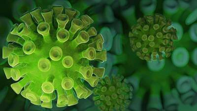 В Великобритании обнаружен новый коронавирус и мира