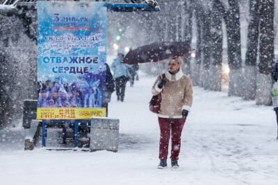 Мощный снегопад обрушится на Псковскую область во второй половине дня