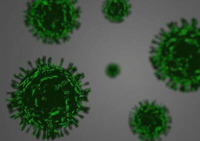 Омикрон-штамм коронавируса может быть опаснее Эболы - ya62.ru
