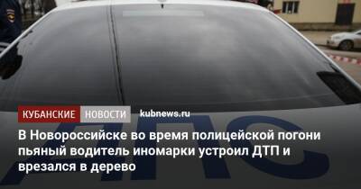 В Новороссийске во время полицейской погони пьяный водитель иномарки устроил ДТП и врезался в дерево