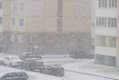 Мокрый снег прогнозируют в Псковской области 28 ноября