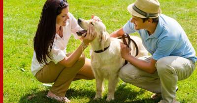 Здорово и счастливо: 5 способов помочь собаке прожить дольше