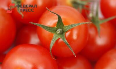 Почему томаты полезны для зрения и кожи: ответ китайских ученых