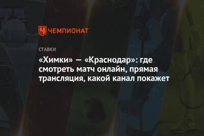 «Химки» — «Краснодар»: где смотреть матч онлайн, прямая трансляция, какой канал покажет