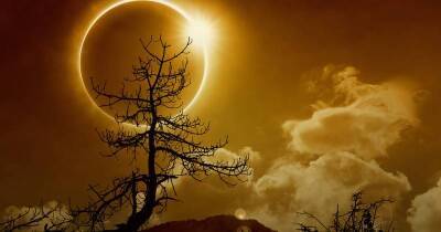 Затмение солнца в декабре 2021 года, что оно нам принесет и как привлечь удачу подсказали астрологи