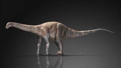 Учёные: Гигантские динозавры передвигались в воде на передних лапах