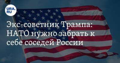 Экс-советник Трампа: НАТО нужно забрать к себе соседей России