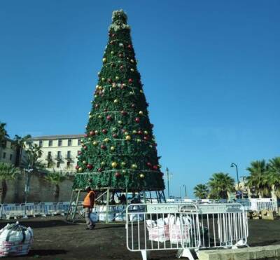 Рождество под угрозой: в США озабочены нехваткой праздничных деревьев и мира