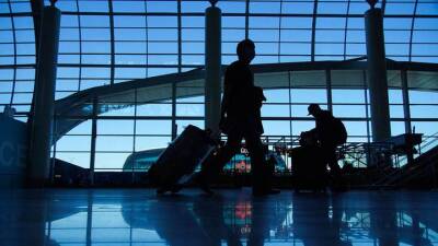 Более 20 рейсов задержали и отменили в столичных аэропортах - vm.ru - Москва - Норвегия - Россия - Швеция - Иран - Словения - Голландия - Тунис - Багамы - Оман