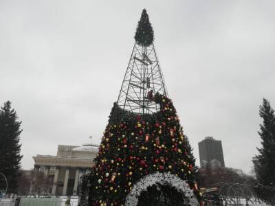 В Новосибирске начали устанавливать ёлку на площади Ленина