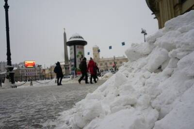 В Петербурге ожидается снег с метелью