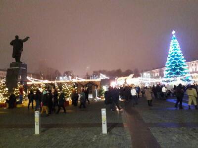 Главную новогоднюю ёлку начали устанавливать в Воронеже на площади Ленина