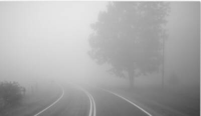 Дожди и туман: синоптики дали прогноз на воскресенье