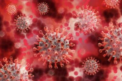 В ВОЗ призвали не паниковать из-за омикрон-штамма коронавируса