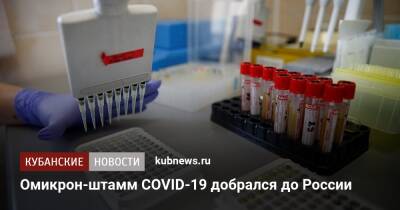 Омикрон-штамм COVID-19 добрался до России