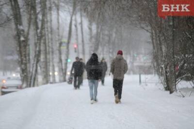 Снегопады с порывами ветра прогнозируют в Коми