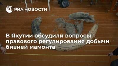 В Якутии обсудили вопросы правового регулирования добычи бивней мамонта