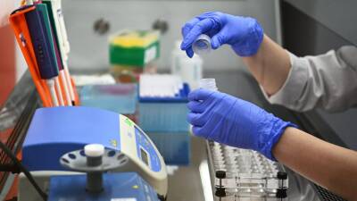 Эксперт Роспотребназора заявил, что штамм коронавируса «омикрон» в России не обнаружен