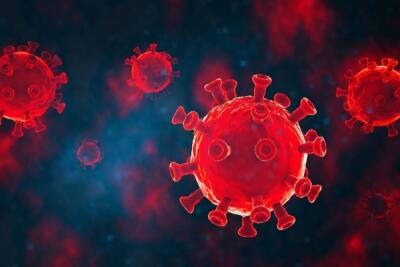 Названы основные признаки заражения омикрон-штаммом коронавируса