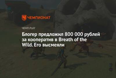 Блогер предложил 800 000 рублей за кооператив в Breath of the Wild. Его высмеяли