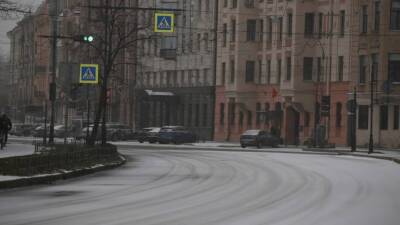 Смольный выделил менее 400 единиц техники на борьбу со «снежным беспределом» в Петербурге