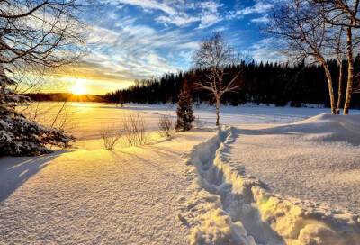 Снег и понижение температуры до -16 градусов ожидают жителей Ленобласти 29 ноября