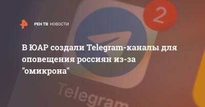 В ЮАР создали Telegram-каналы для оповещения россиян из-за "омикрона"