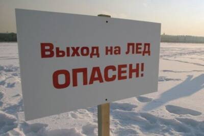 Ульяновские спасатели вытащили троих детей со льда на Волге