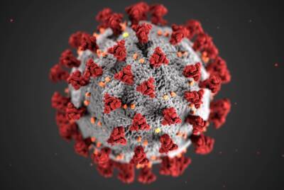 Роспотребнадзор отрицает распространение нового штамма коронавируса в России