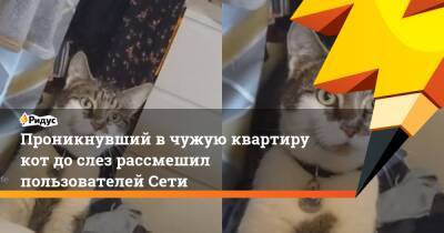 Проникнувший в чужую квартиру кот дослез рассмешил пользователей Сети