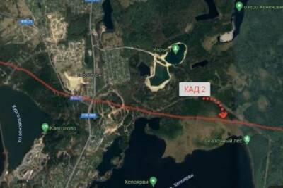 Гражданские активисты выяснили, что через природный парк «Токсовский» хотят пустить КАД-2