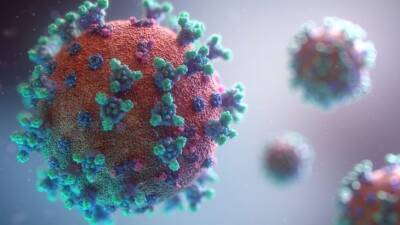 Почему вакцины могут оказаться бессильными перед Omicron-штаммом коронавируса