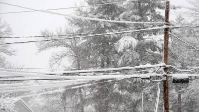 Около 4,5 тысяч жителей Новгородской области остались без света из-за снегопада