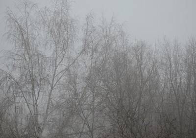 В Рязанской области ожидается густой туман