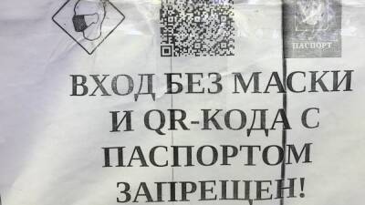 В Екатеринбурге на пикет против QR-кодов вышли около трёхсот человек
