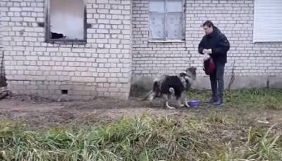В Смоленске собака несколько дней охраняла труп