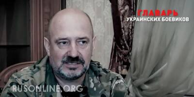 Шокирующее признание: главарь украинских карателей на российском ТВ (видео)