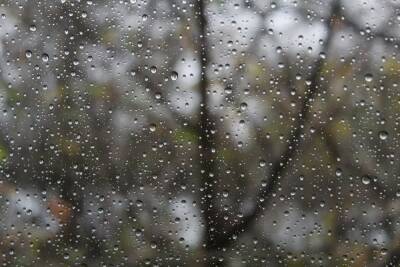 В понедельник в Воронеже потеплеет и пройдет дождь