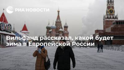 Синоптик Гидрометцентра Вильфанд пообещал морозы и оттепели зимой в Европейской России
