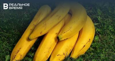 Ученые рассказали об опасности бананов из-за содержания в них радиоактивного элемента