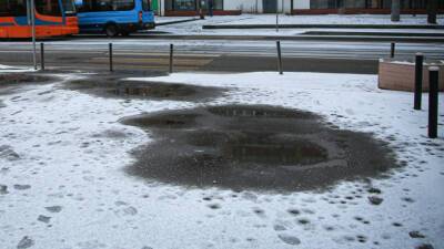 В Москве и Московской области объявлен желтый уровень погодной опасности