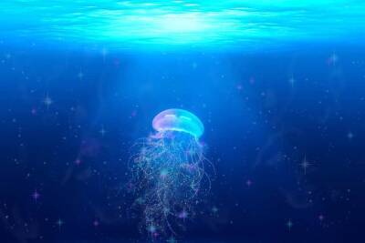Ученые научились читать мысли медуз и мира