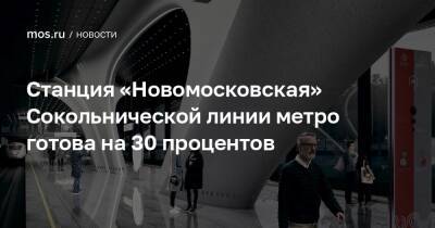 Станция «Новомосковская» Сокольнической линии метро готова на 30 процентов