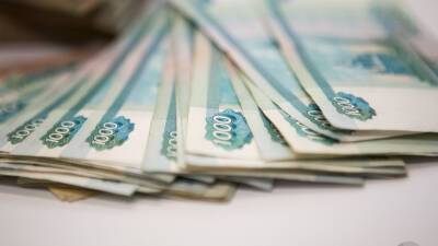 Доходы россиян в некорпоративном секторе снизились почти на 20%