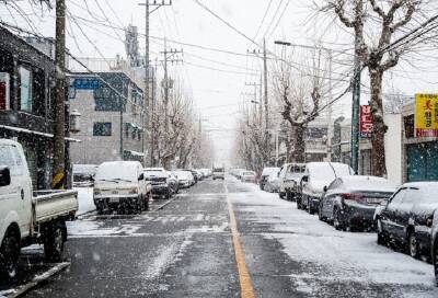 Последствия первого снегопада в Гатчине ликвидировали 11 спецмашин