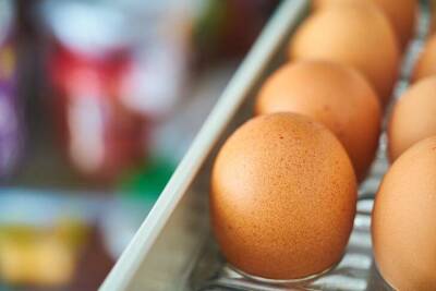 Как нельзя закладывать яйца в холодильник: многие хозяйки допускают вопиющую ошибку