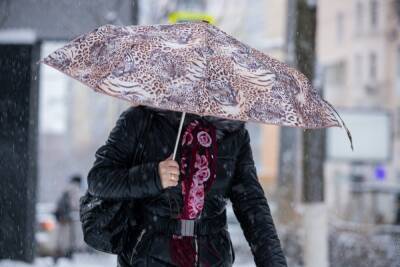 В Ростове ожидается мокрый снег и пасмурная погода
