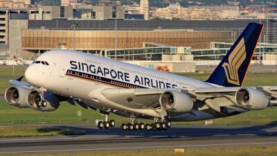 В Сингапуре авиакомпания заменила пассажиров грузами из-за штамма «Омикрон»