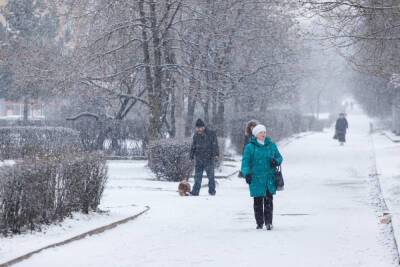 Сильный снегопад обрушится на Псковскую область вечером 29 ноября